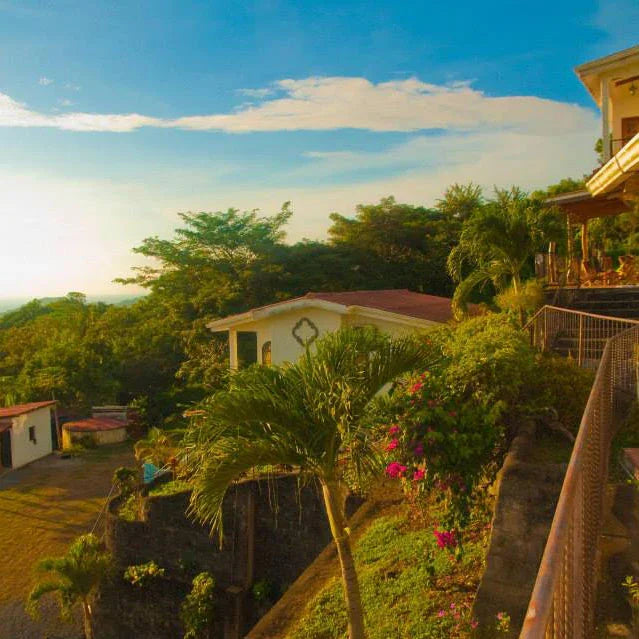 Tropical hillside homes with lush greenery and palm trees under a bright blue sky