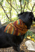 Bandana - Fetch
