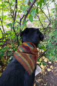 Bandana - Fetch