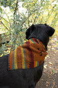 Bandana - Fetch